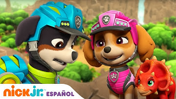 PAW Patrol | Pups Rescue the Baby Dinos | Nick Jr.