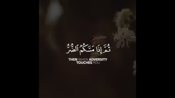 وما بكم من نعمة فمن الله ثم إذا مسكم الضر فإليه تجأرون | سورة النحل | القارئ محمد صديق المنشاوي