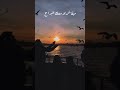 حمزة نمرة داري   