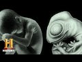 Ancient Aliens: Ancient Alien DNA (Season 10) | History