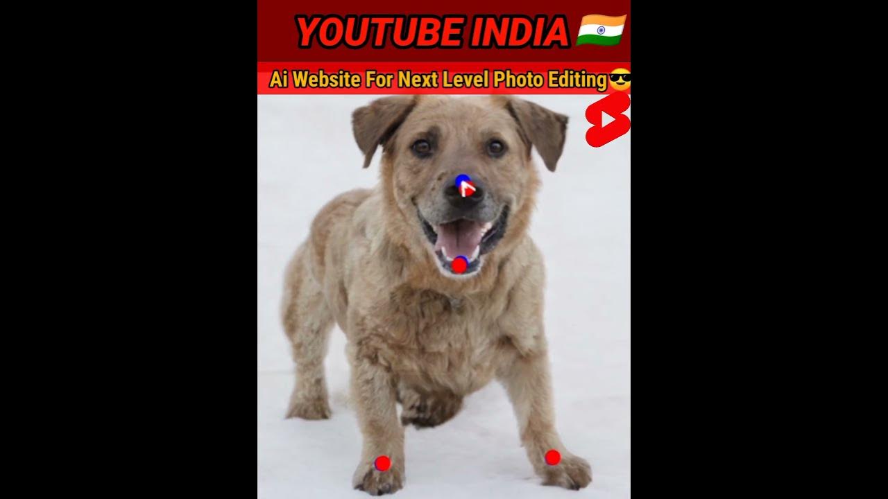 Are snakes afraid of humans? क्या साफ genatzea? facts shortvideo 