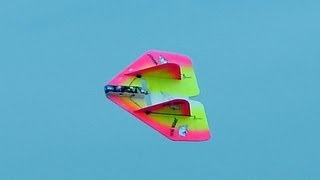 Hog Wild RC PLane