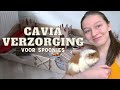 Cavia verzorging voor spoonies