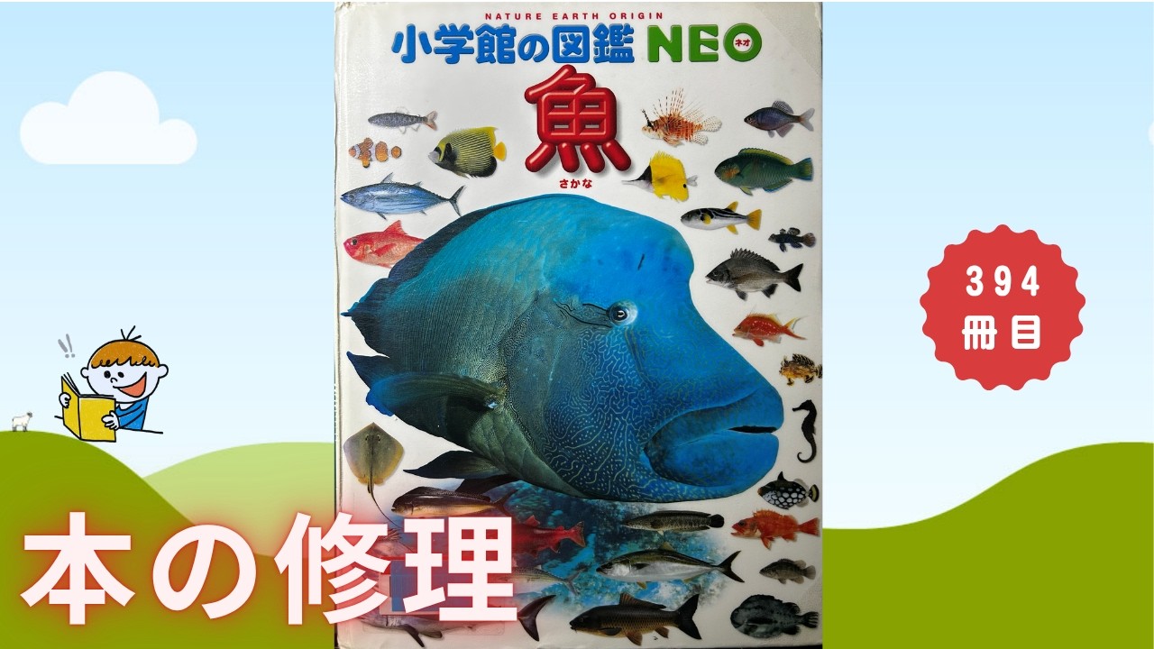 図鑑「NEO 魚」 本の修理394冊目 - YouTube 図鑑「NEO 魚」 本の修理394冊目 - YouTube