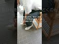 玄関にあると便利な多機能ベンチ。手すりがあるので、立ち上がるときも腕の力を利用でき、足腰の弱い方にもオススメ！