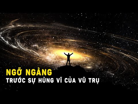 Ngỡ ngàng trước