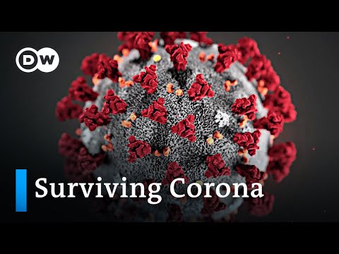 What happens when you're infected with the COVID-19 coronavirus? | DW News