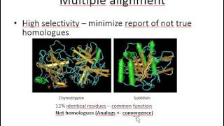 multiple alignment eng