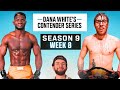 Dana White's Contender Series: FULL CARD Breakdown | Season 9, Week 8