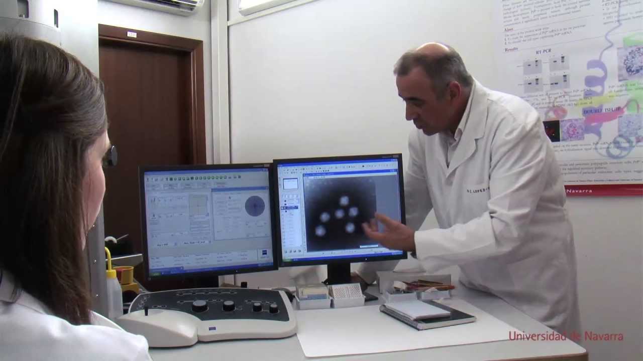 unavailable Pandemias: nuevas infecciones virales - Ud.1: ¿Qué es un virus? MOOC
