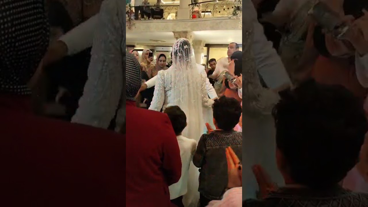 ١٥ يناير ٢٠٢٦