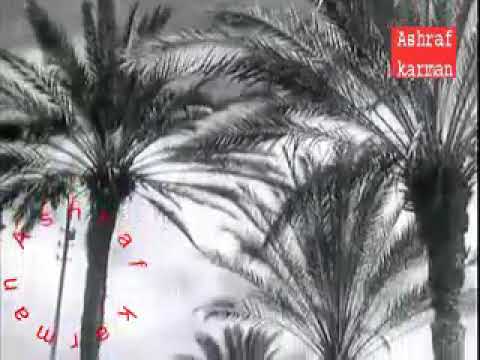 فايزه أحمد عشان بحبك أنا كلمات فتحى قوره لحن بليغ حمدى