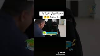 ماهو الحيوان الذي لا يلد ولا يبيض