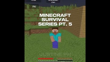 Thumbnail of Flashback Of My MC Video #music #minecraft #capcut #edit