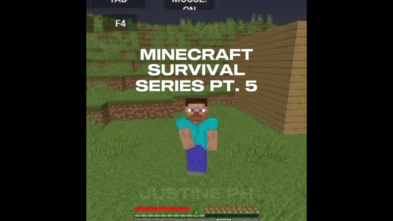 Flashback Of My MC Video #music #minecraft #capcut #edit