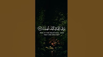 أفلا ينظرون الى الابل كيف خلقت 🌿تلاوة خاشعة وهادئة 🌿للقارئ عبدالرحمن مسعد 🌿