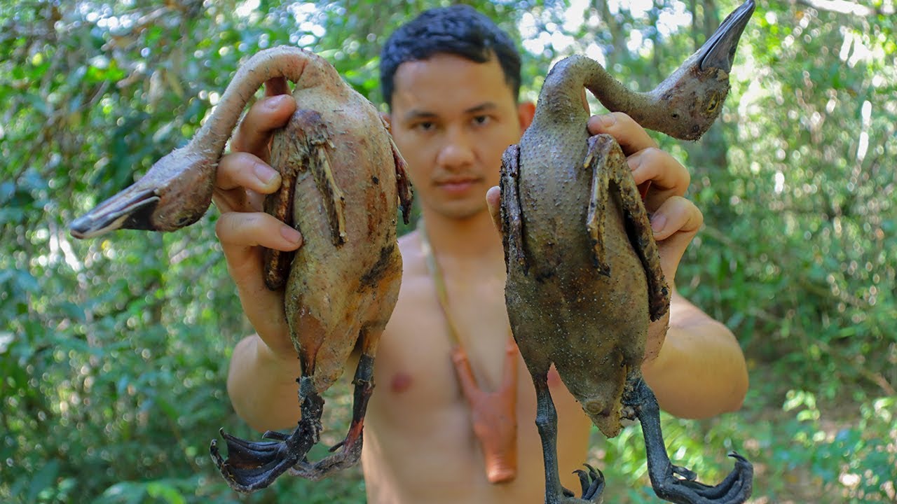 Wild Duck Recipes - Cooking Tasty Wild Ducks Recipes in Forest Eating Delicious