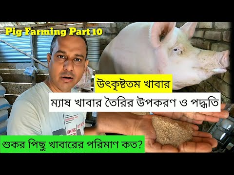 ভিডিও: আরো শূকর কি খায়?