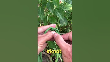 🌿 Elife365 | Nút thắt nối càng kéo càng chặt #shorts #giảitrí #knot