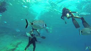 Ege, Mavi, Bodrum, Hayko Cepkin... Başka Bir Arzunuz?