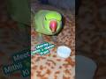 meet my mithiii 🦜vitamin ki goli #funny #shorts #cuteparrot #viral