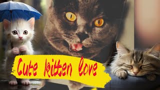 Funniest Animals  Best Cats Videos 😸Try Not To Laugh | #cats #pets #catfunny by Anim_Kin 16 views 2 months ago 2 minutes, 14 seconds