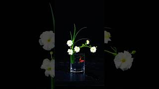 Download Lagu How to arrange butterfly peonies #flowerarrangement #ikebana #artisticflowers #simpleflower MP3