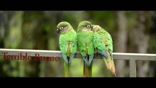 Please meet "Mita" World Nomads 2016 video application by Oscar Manguy Net Worth