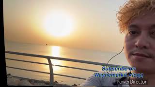 Winmax Lx-201 Wireless Headset