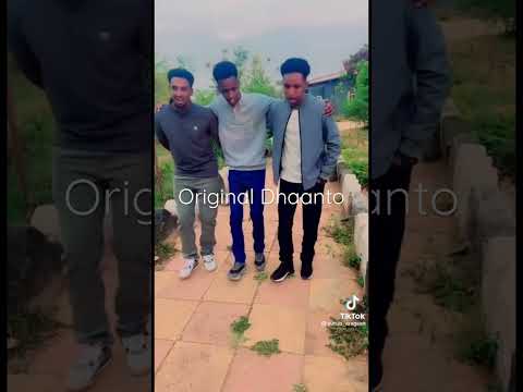 Dhaanto Cusub Hassan Yare