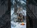 Building a Warm Spruce Branch Shelter 🌲 #shorts