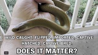 It DOES matter! @reptile_reverb