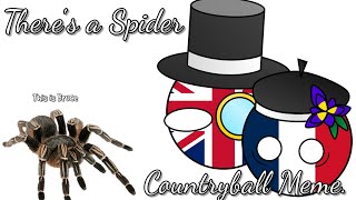 There's a Spider (meme) - Countryballs Animation / UK and France