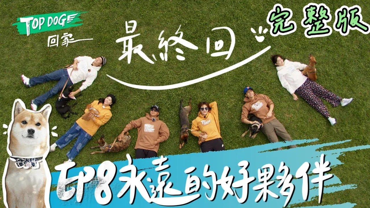 EP8 完整版SUB｜有些相遇 其實是上輩子的約定！分開不是結束 使命完成後 還是永遠的好夥伴！｜TOP DOG回家 縮圖