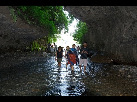 Visit to Robber's Cave Exploring life in caves in Dehradun ,India