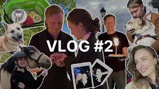 VLOG #2: Шелби живет месяц дома | Ремонт своими руками | День рождения Кати | Сюрприз | Предложение