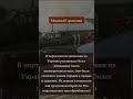 Жертвенная стойкость #наука #технологии #обучение #исследования #философия #психология #народы #этно
