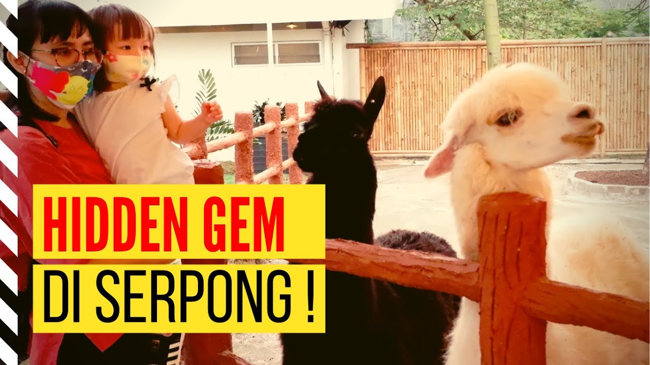 SCIENTIA SQUARE PARK SERPONG - MINI ZOO & FARM - YouTube