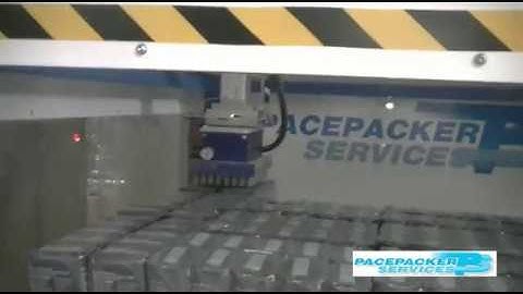 Festo Cartesian Palletising System