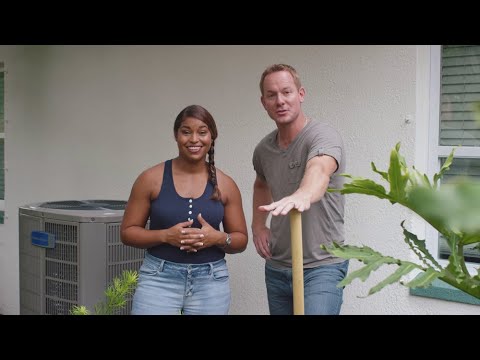 Video: Wat te planten in de buurt van een AC-eenheid: hoe u rond een airconditioner kunt plaatsen