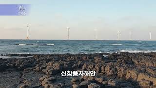 제주여행..산방산,도구리알,송악산둘레길,신창풍차해안