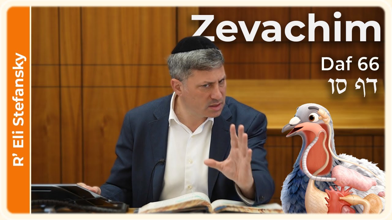 Daf Yomi Zevachim Daf 66 by R' Eli Stefansky