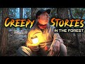 Campers have Frightening Encounter in Sierra National Forest! ( 4 Stories ) Mp3 Song