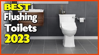 Top 5 Best Flushing Toilet 2023