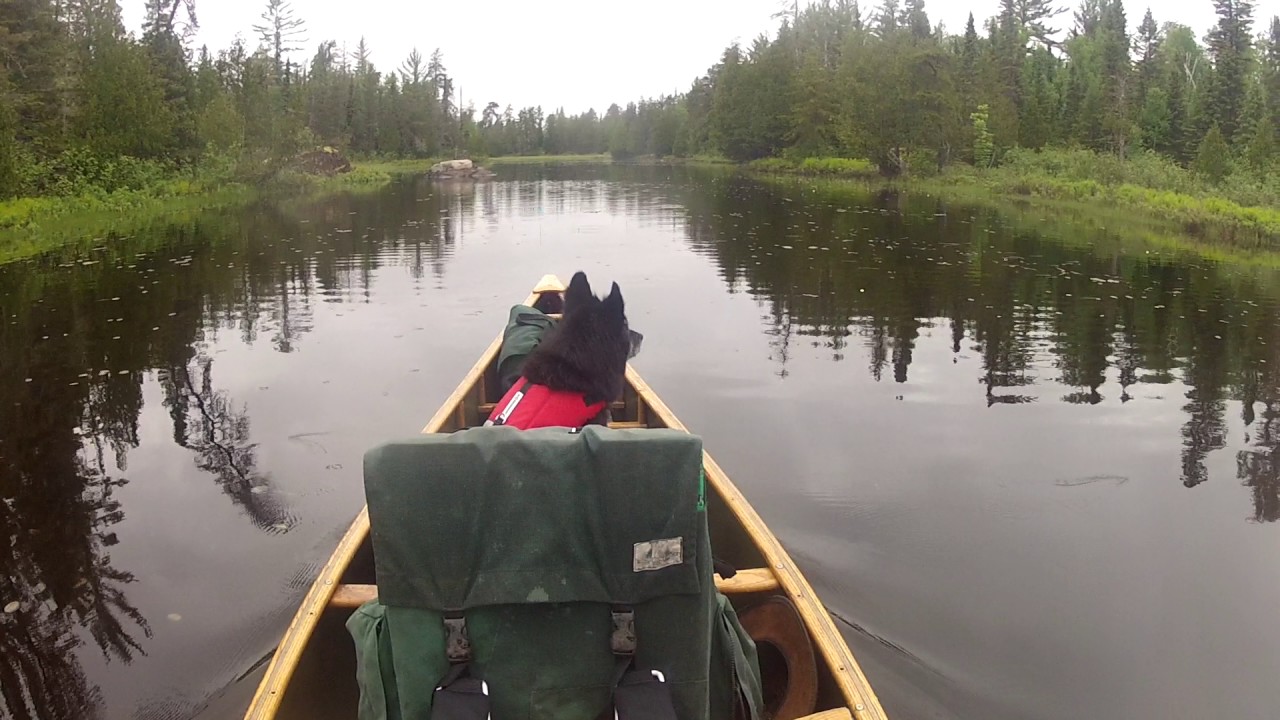 Canoeing the Kawishiwi River, BWCA, 2017 YouTube