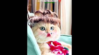 Cats With Owner VS Without Owner 💔😭 || #ytshorts #emotional #cat #sad #kamin #petlover #shorts #cute