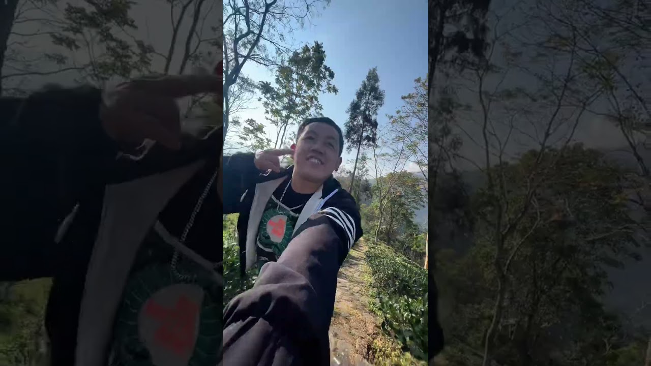 Mini Vlog at Badamtam tea garden 