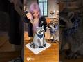 They Cuts an Animal Cake...Real Animal gets confused #shorts #viralshorts