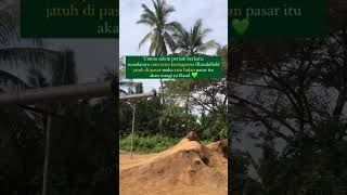 Keringat Mulia Rasulullah SAW #kataislami #katabijak #cinta #nabimuhammad #rasulullah