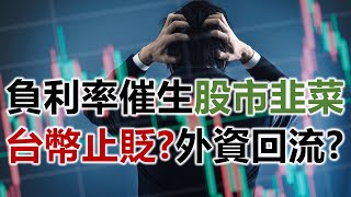 負利率催生股市韭菜 台幣止貶？外資回流？《小編金選》20230812